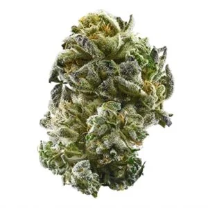 Buy Girls Scout Cookies Online In South Korea