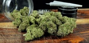 Buy Moon Rocks Strain Online In Seoul