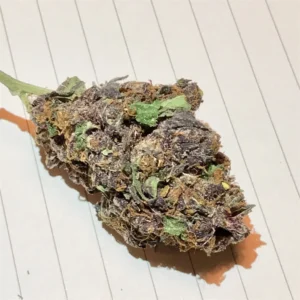 Buy Purple Haze Online In Seoul