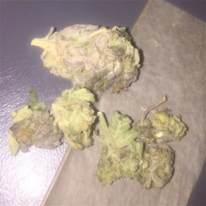 Buy Purple Haze Online In South Korea